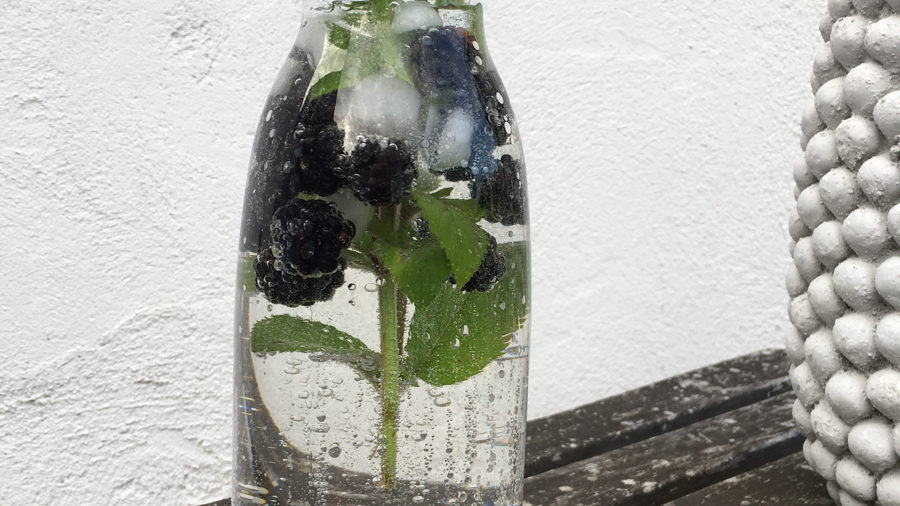 infused water mit Minze und Brombeeren aus dem Garten