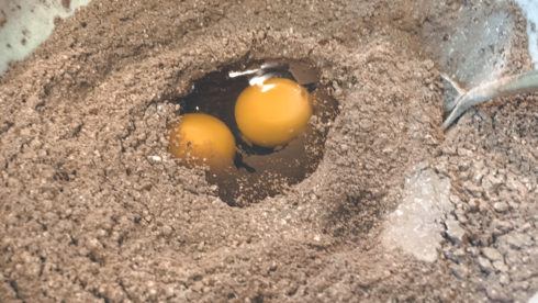 Eier in die Zucker-Kakao-Mischung