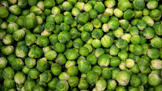Rosenkohl Rosenkohl