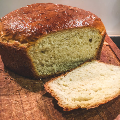 frisch geschnittener Pottweck