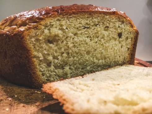 frisch geschnittener Pottweck