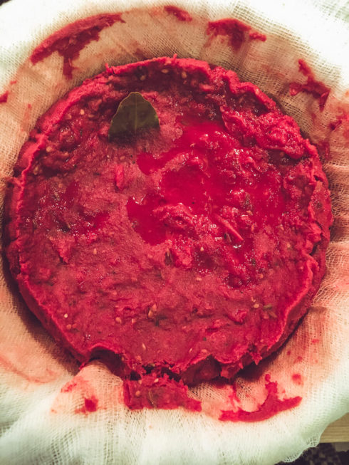 klare Tomatensuppe (Tomatenessenz) abseihen