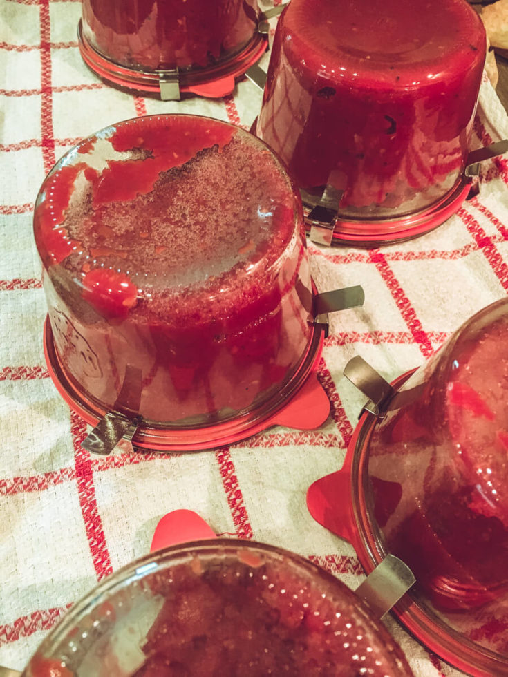 Tomatenessenz: Klare Tomatensuppe • leckersein ° Foodblog vom Niederrhein