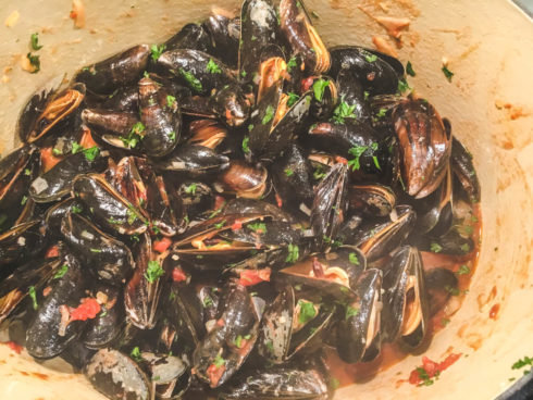 die Muscheln öffnen sich