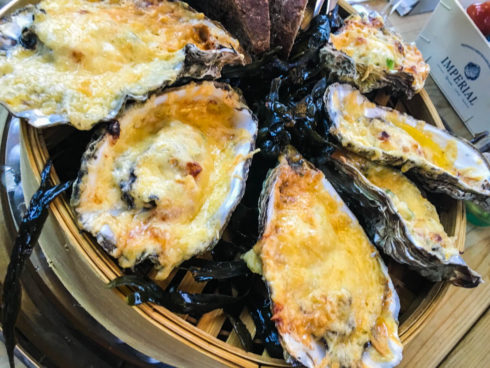 Austern Oesterij in Yerseke