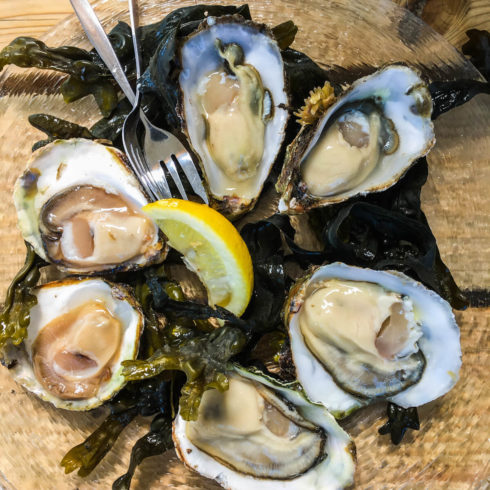 Austern Oesterij in Yerseke