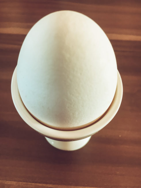 Das perfekte Frühstücks-Ei kochen