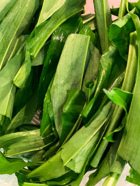 selbstgemachte Bärlauch-Butter