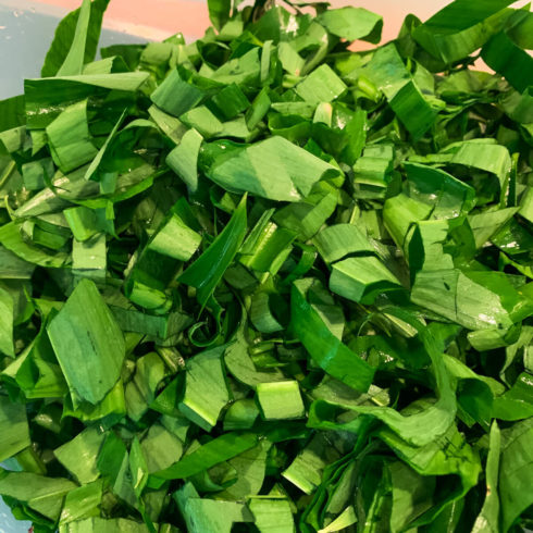 selbstgemachtes Bärlauch-Pesto