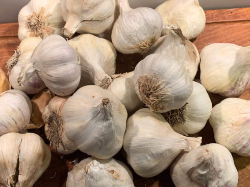 selbstgemachte Knoblauch-Creme