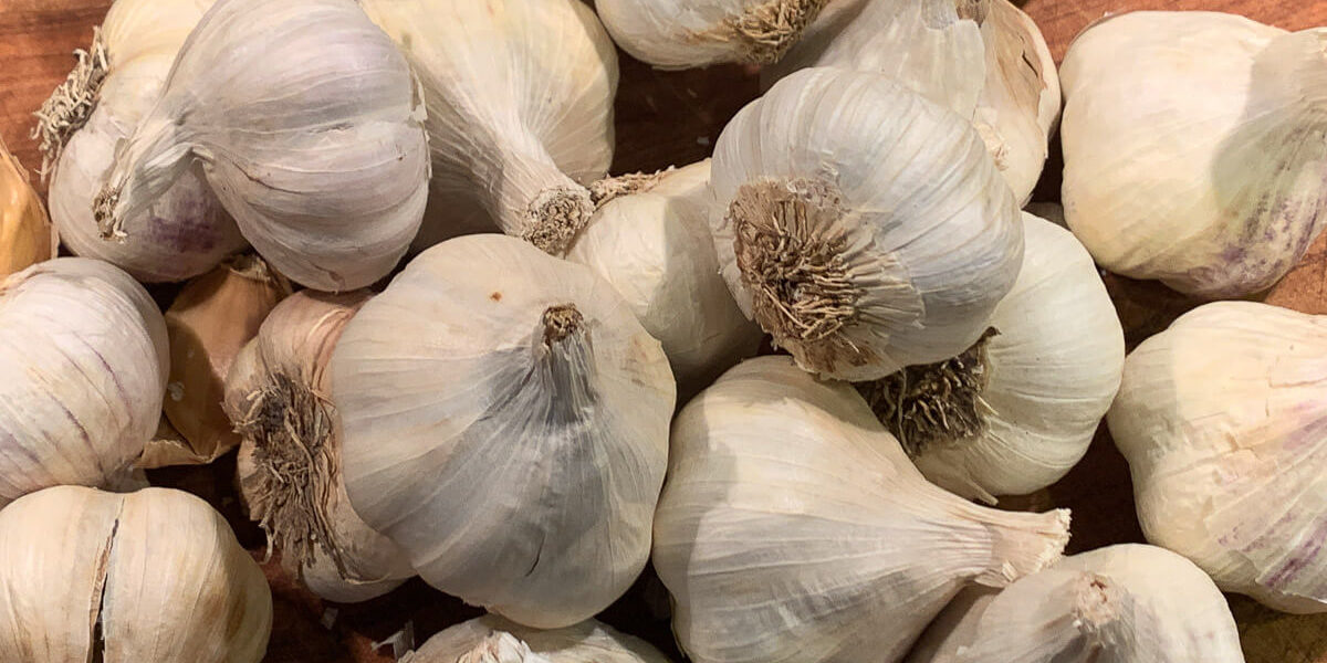 selbstgemachte Knoblauch-Creme selbstgemachte Knoblauch-Creme