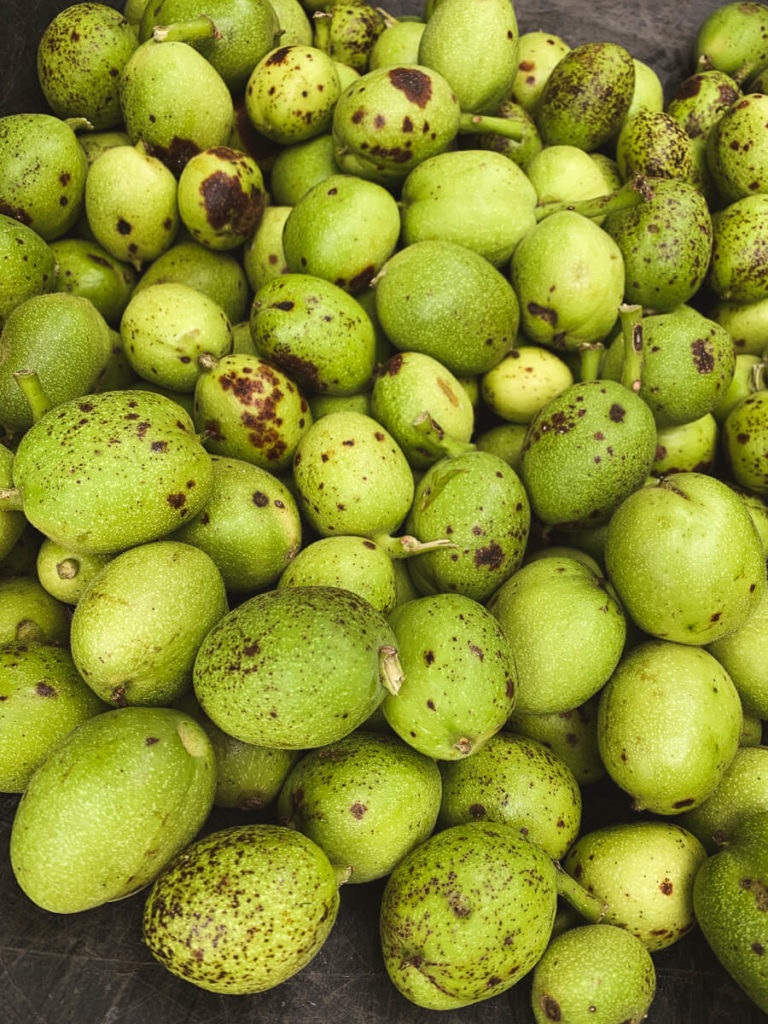 schwarzen Nüssen (Johannisnüsse/ Walnüsse)