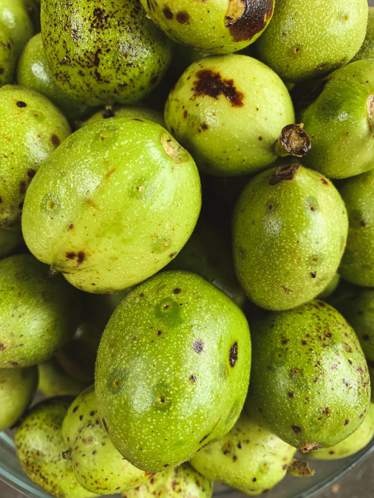 schwarzen Nüssen (Johannisnüsse/ Walnüsse)