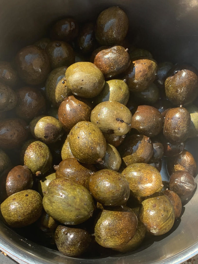 schwarzen Nüssen (Johannisnüsse/ Walnüsse)